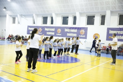Volei