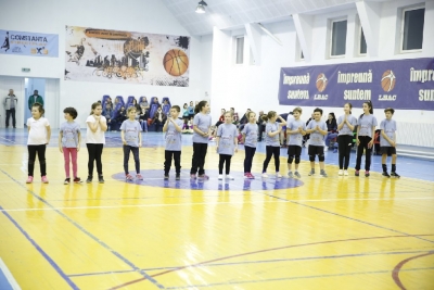 Volei