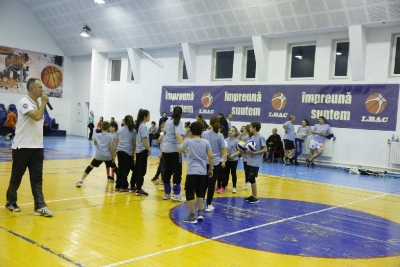 Volei