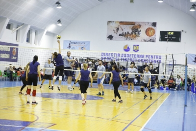Volei