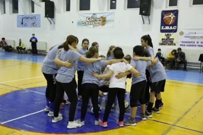 Volei
