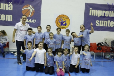 Volei