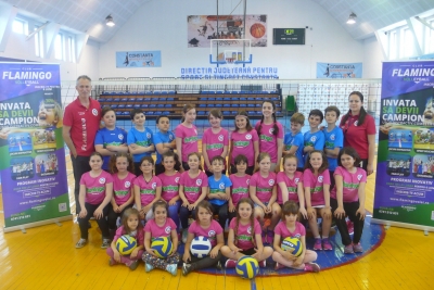 Volei