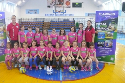 Volei