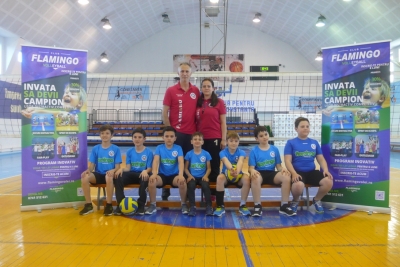 Volei