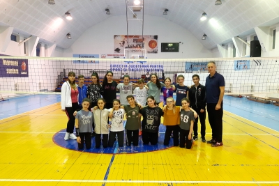 Volei