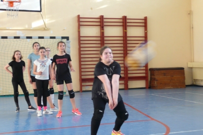Volei