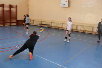 Volei