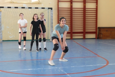 Volei