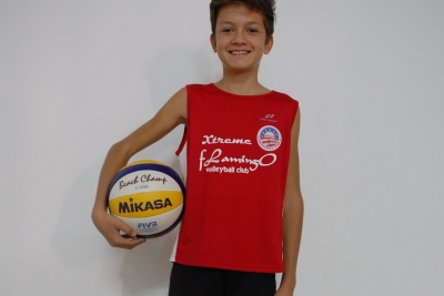 Volei