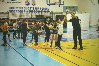 Volei