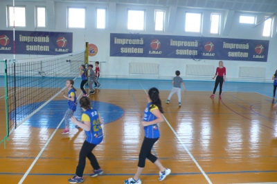 Volei