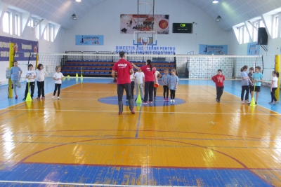 Volei