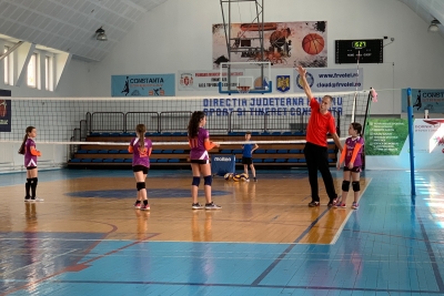 Volei