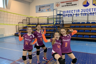 Volei