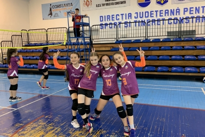 Volei