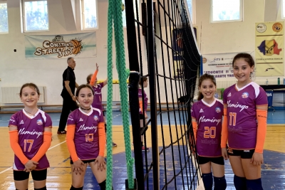Volei