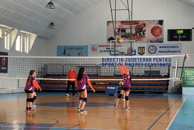 Volei