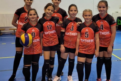 Volei