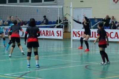 Volei