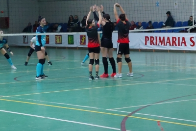 Volei