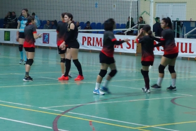 Volei