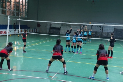 Volei