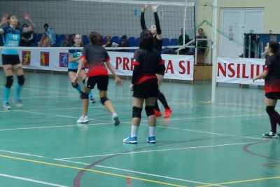 Volei